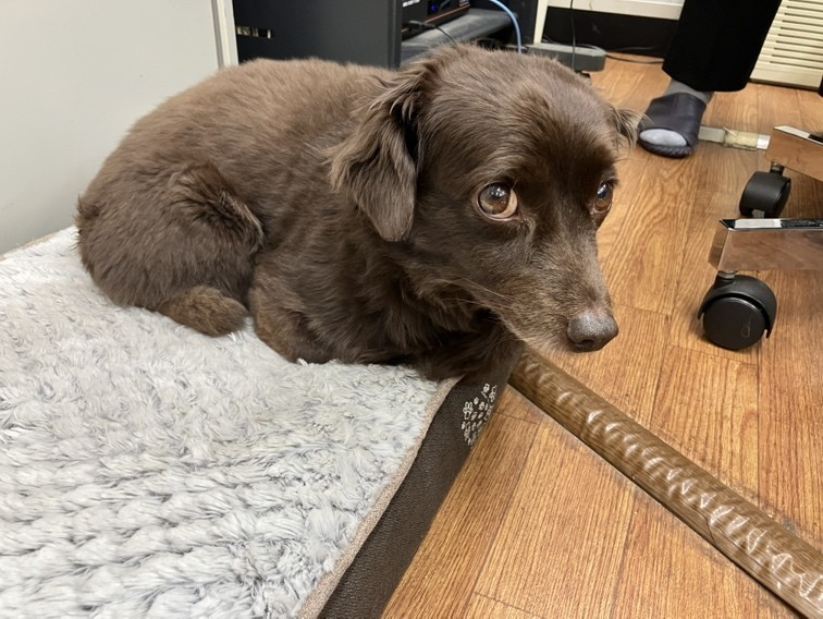 求人画像 サブ画像1