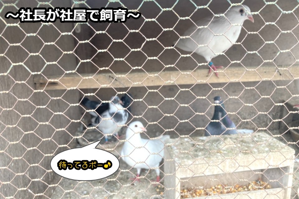 求人画像 サブ画像5